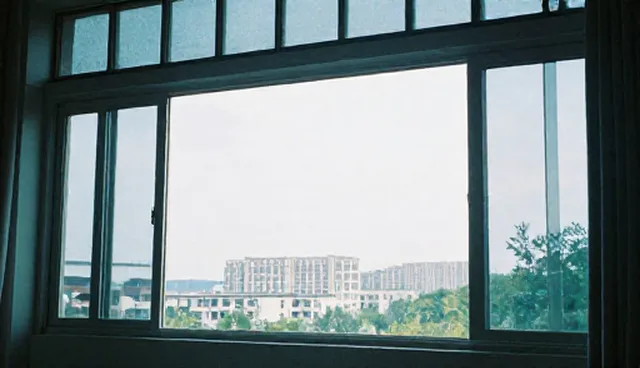 长期技术支持服务的选择依据与适用条件说明