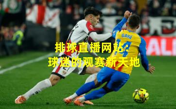 排球直播网站：球迷的观赛新天地