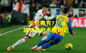 托尼帕克7：圣城传奇的永恒印记