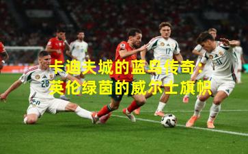 卡迪夫城的蓝鸟传奇：英伦绿茵的威尔士旗帜