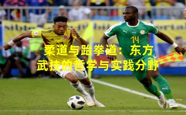 柔道与跆拳道：东方武技的哲学与实践分野