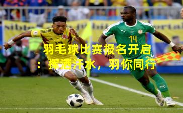 羽毛球比赛报名开启：挥洒汗水，羽你同行